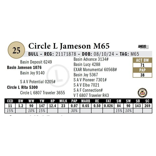 Circle L Jameson M65