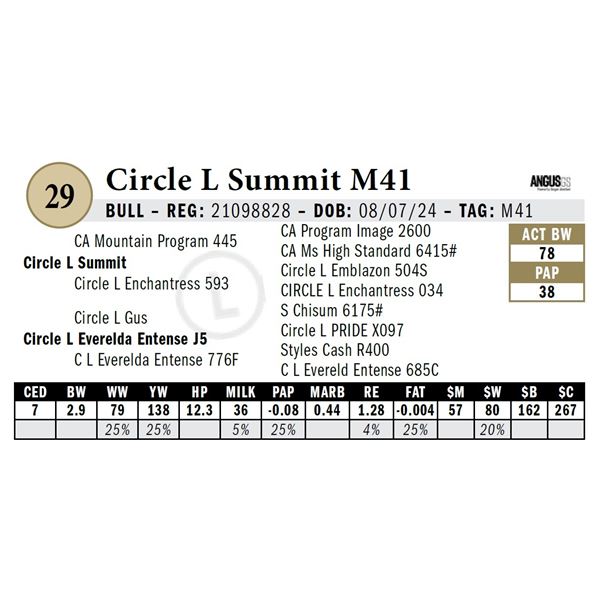 Circle L Summit M41