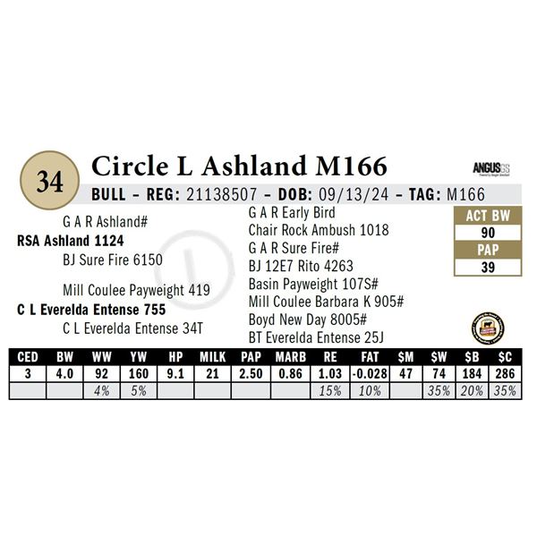 Circle L Ashland M166