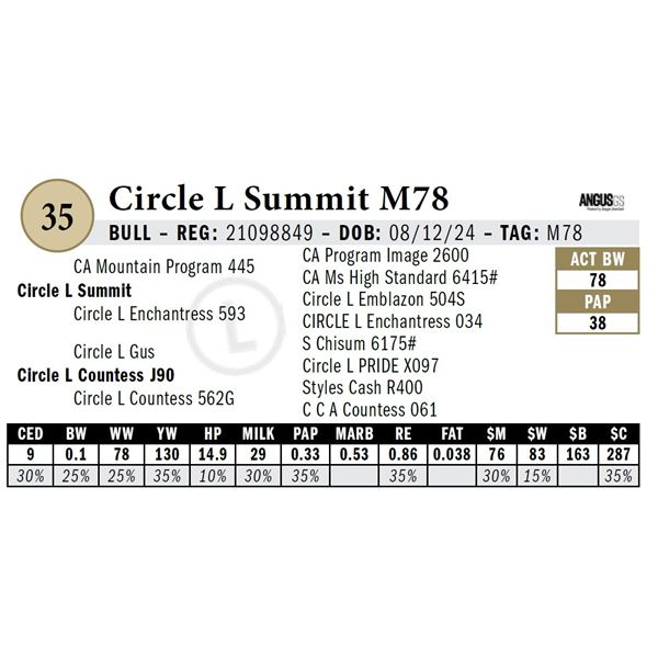 Circle L Summit M78