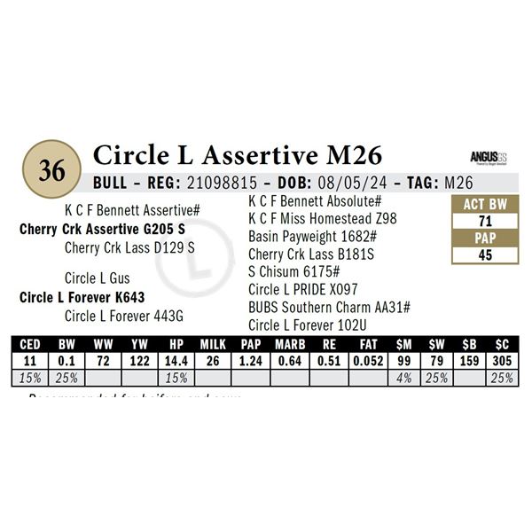 Circle L Assertive M26