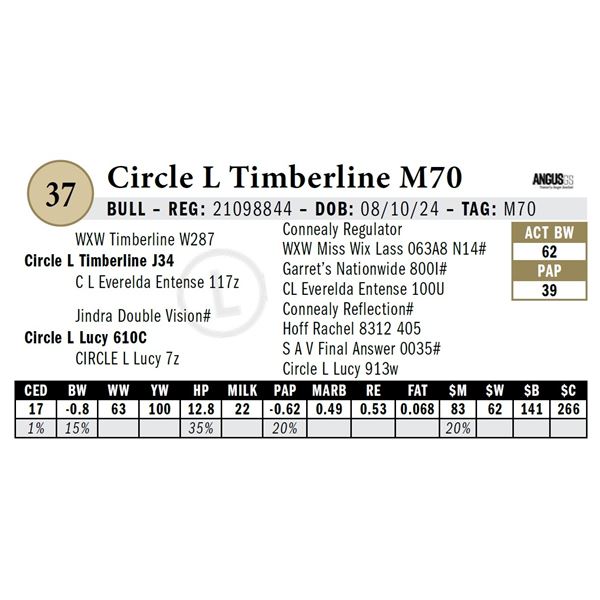 Circle L Timberline M70