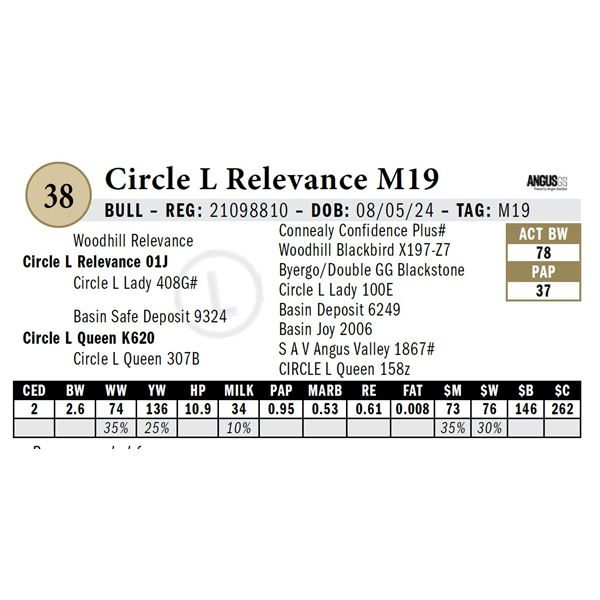 Circle L Relevance M19