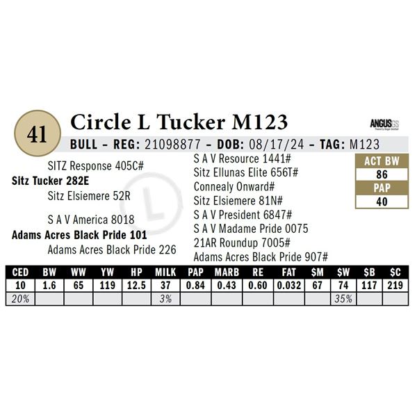 Circle L Tucker M123