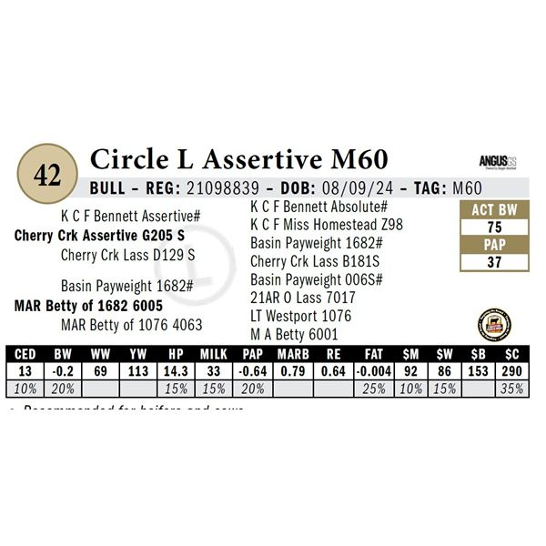 Circle L Assertive M60