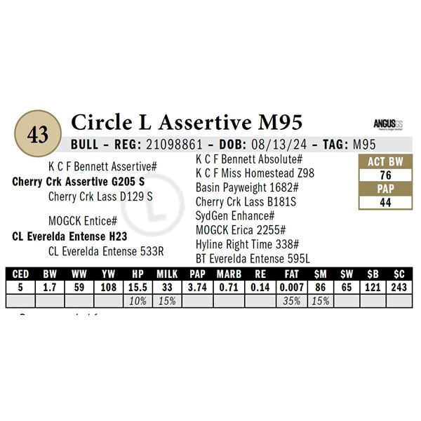 Circle L Assertive M95