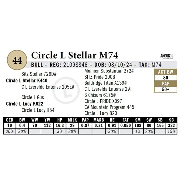 Circle L Stellar M74