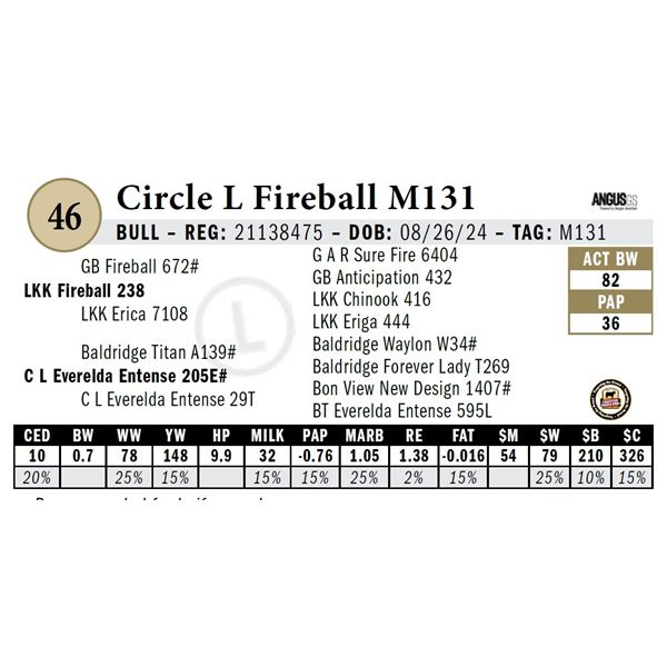 Circle L Fireball M131