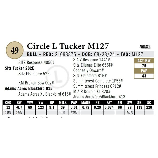 Circle L Tucker M127