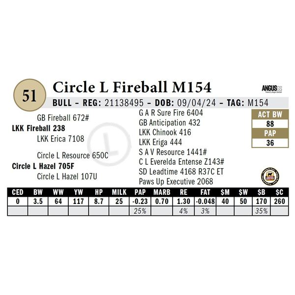 Circle L Fireball M154