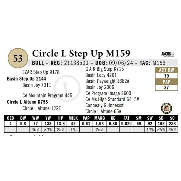 Circle L Step Up M159