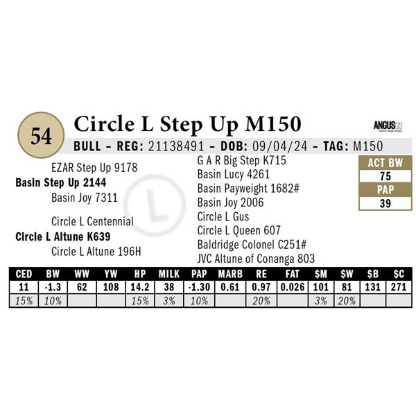 Circle L Step Up M150