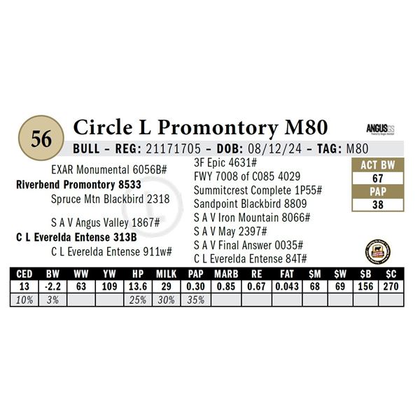 Circle L Promontory M80