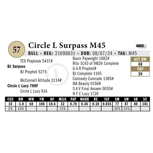 Circle L Surpass M45