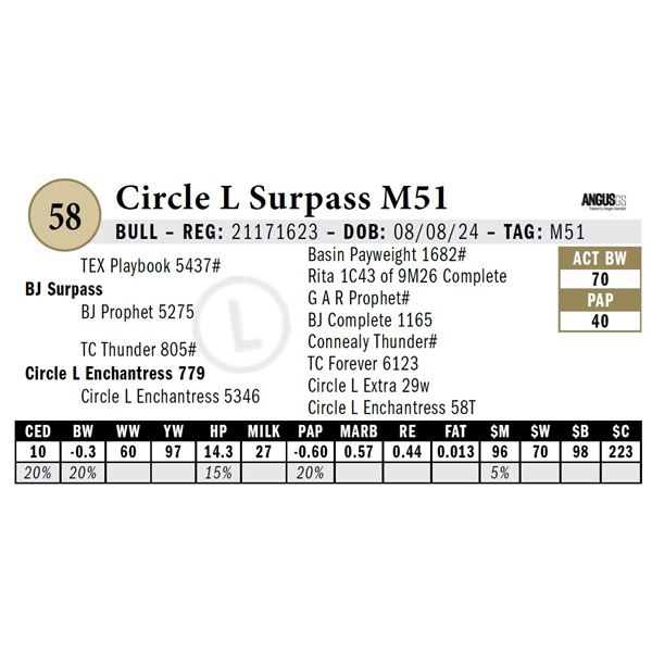 Circle L Surpass M51