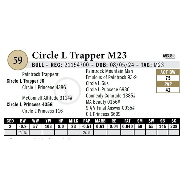 Circle L Trapper M23