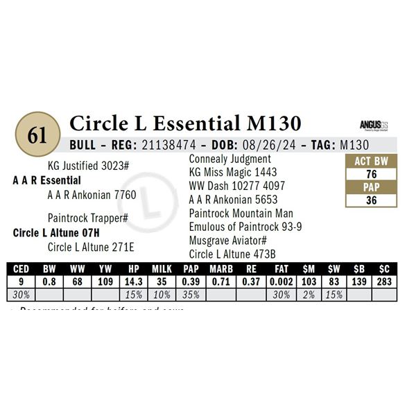 Circle L Essential M130
