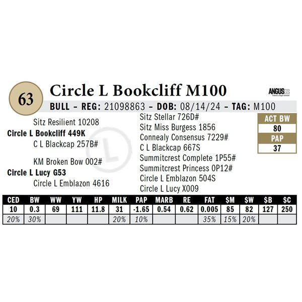 Circle L Bookcliff M100