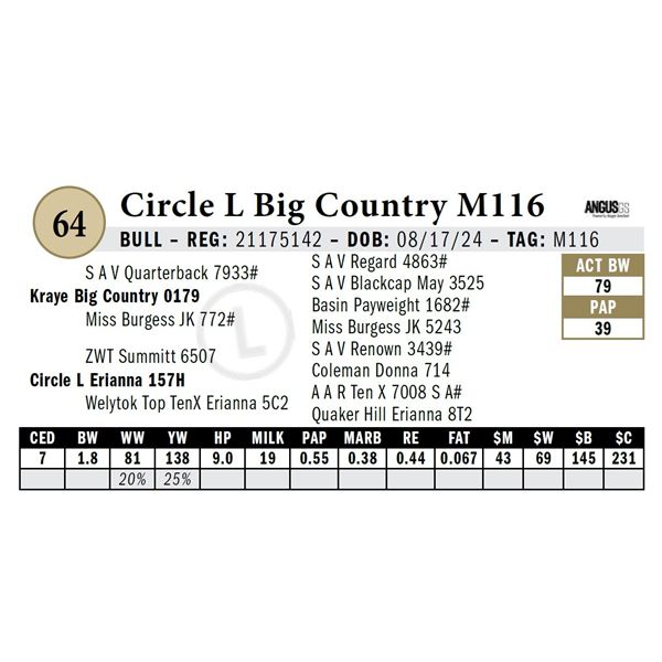 Circle L Big Country M116