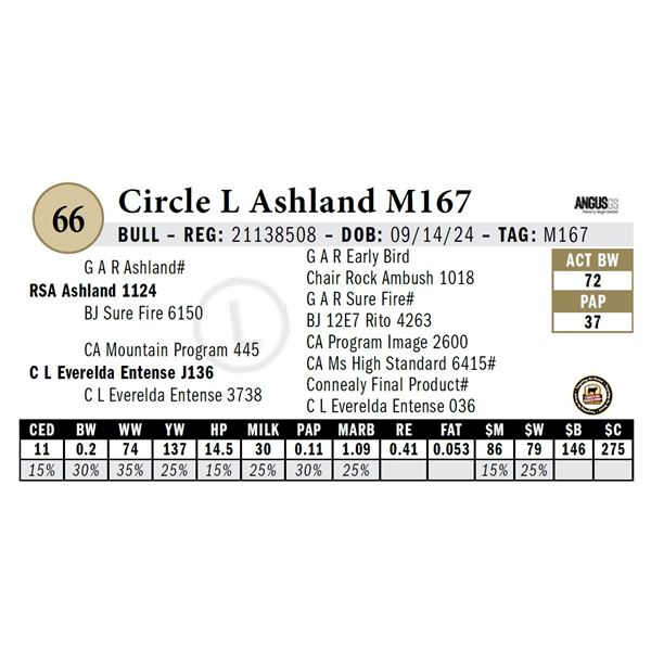 OUT OF SALE