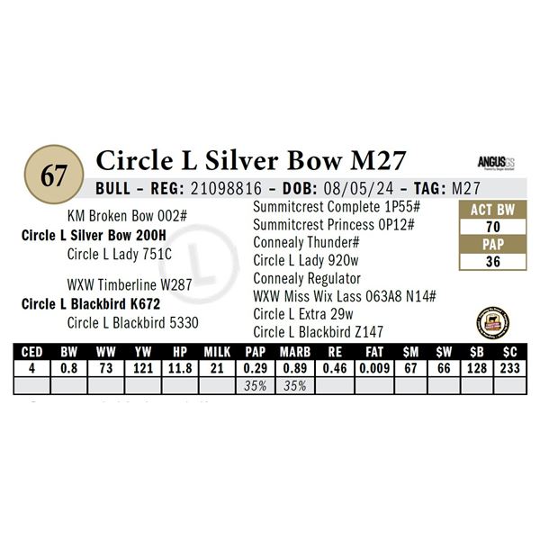 Circle L Silver Bow M27