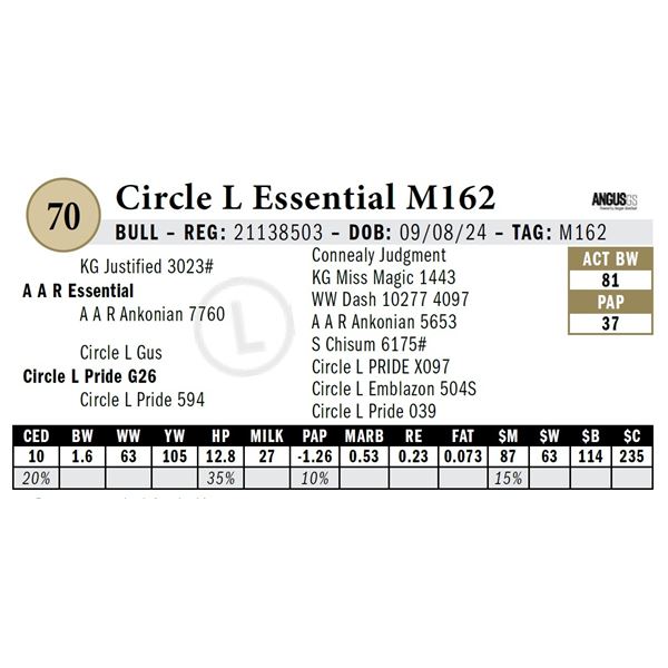 Circle L Essential M162