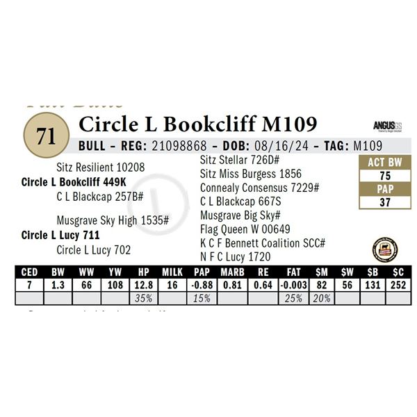 Circle L Bookcliff M109