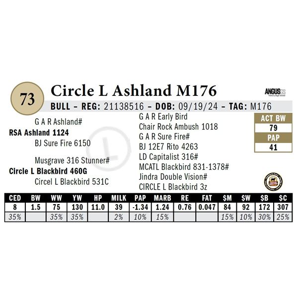 Circle L Ashland M176