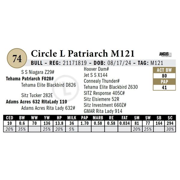Circle L Patriarch M121