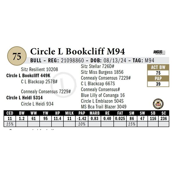 Circle L Bookcliff M94