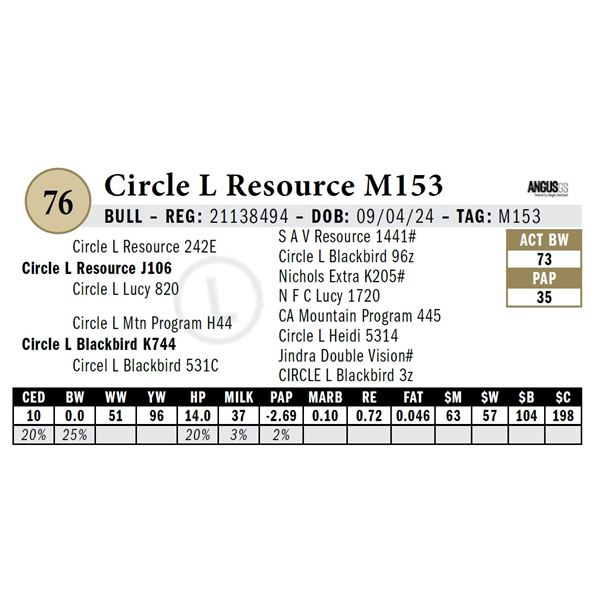 Circle L Resource M153