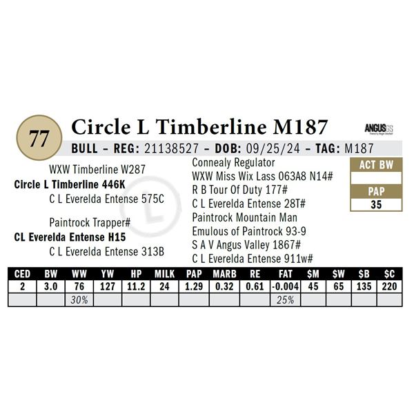 Circle L Timberline M187