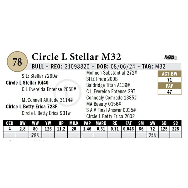Circle L Stellar M32