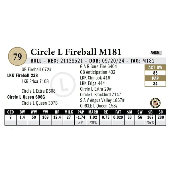 Circle L Fireball M181