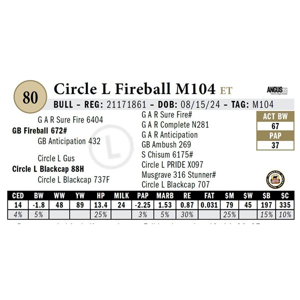 Circle L Fireball M104