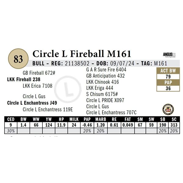 Circle L Fireball M161
