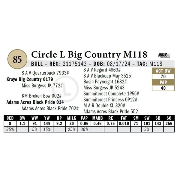 Circle L Big Country M118