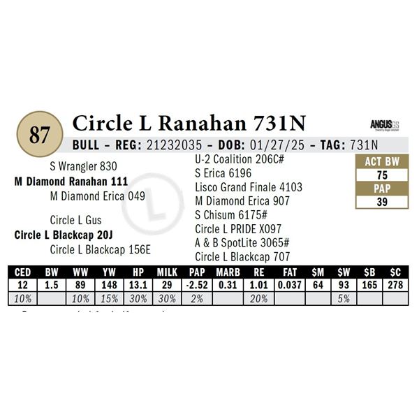 Circle L Ranahan 731N