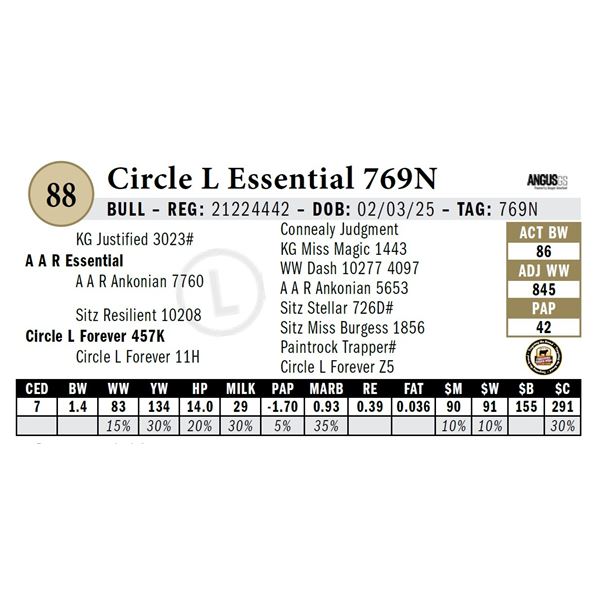 Circle L Essential 769N