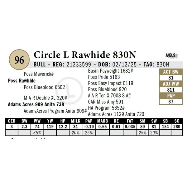Circle L Rawhide 830N