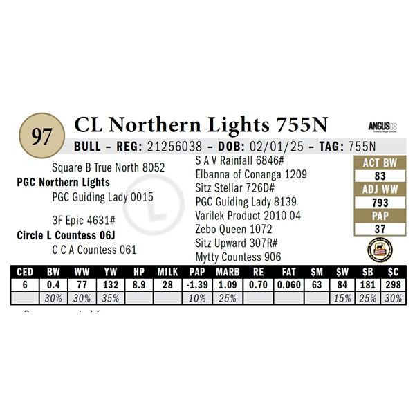 CL Northern Lights 755N