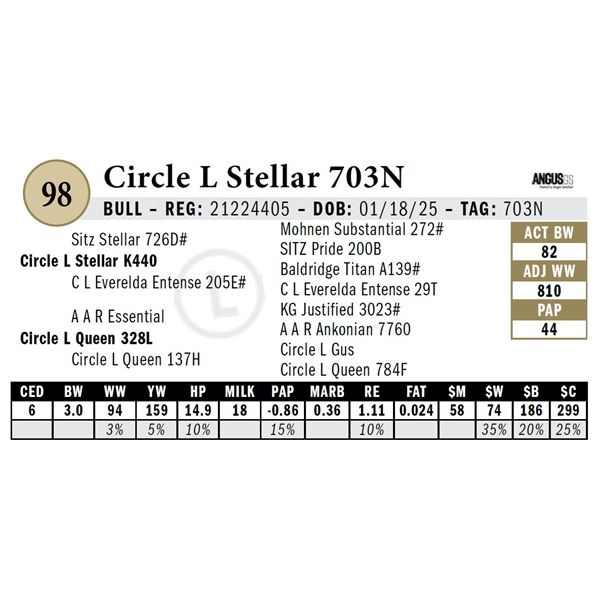 Circle L Stellar 703N