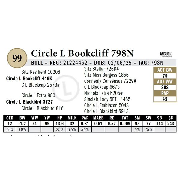 Circle L Bookcliff 798N