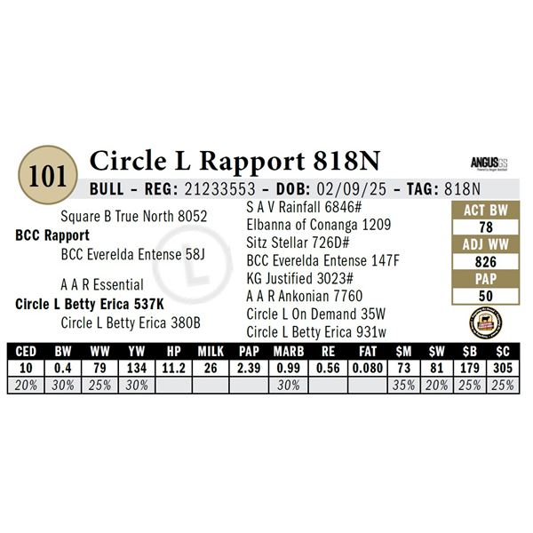 Circle L Rapport 818N