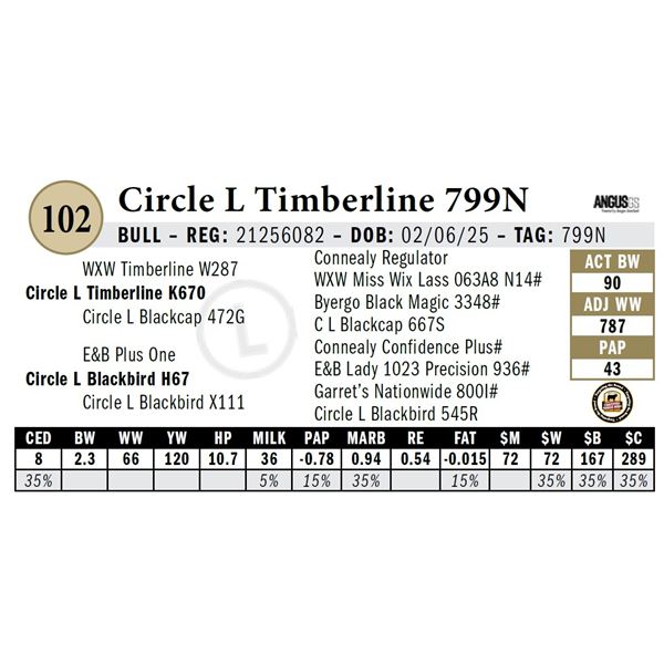 Circle L Timberline 799N