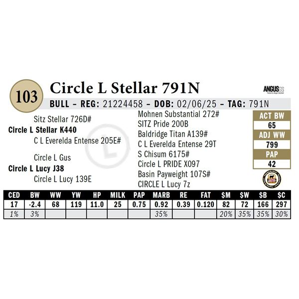 Circle L Stellar 791N