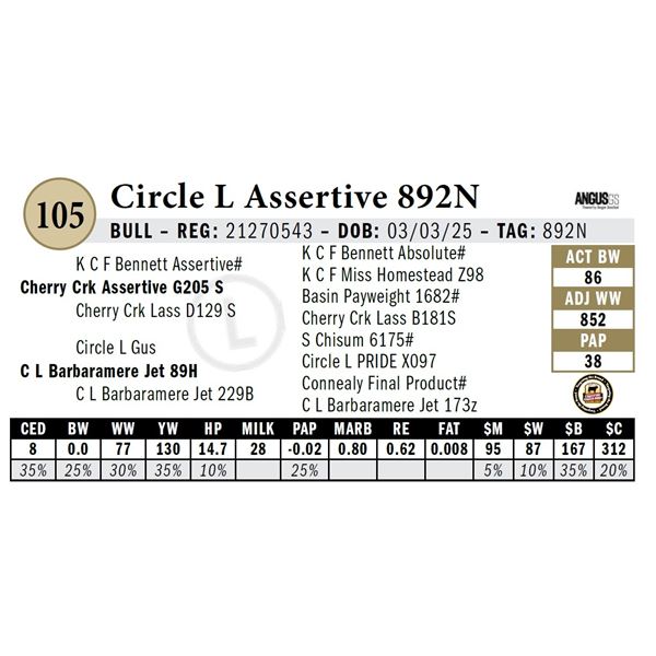 Circle L Assertive 892N