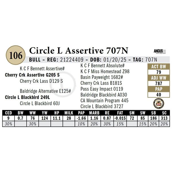 Circle L Assertive 707N