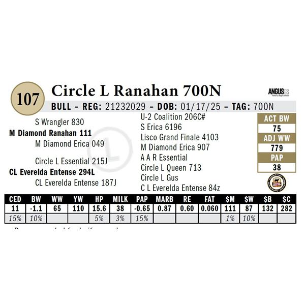 Circle L Ranahan 700N