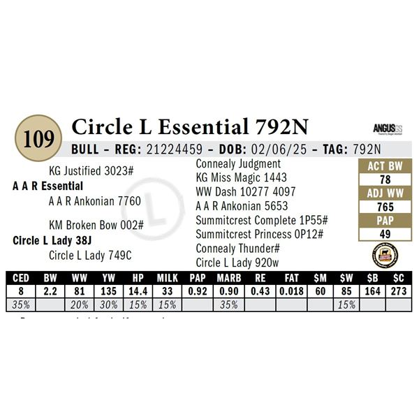 Circle L Essential 792N